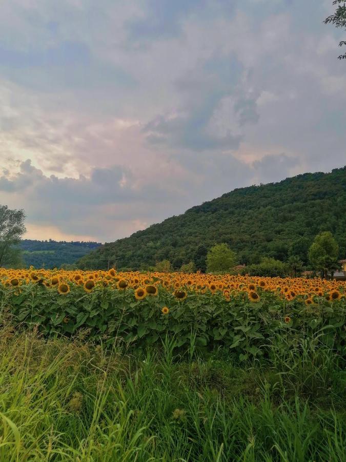 Ca' Dei Berici - Residence Ad Arcugnano Grancare Экстерьер фото