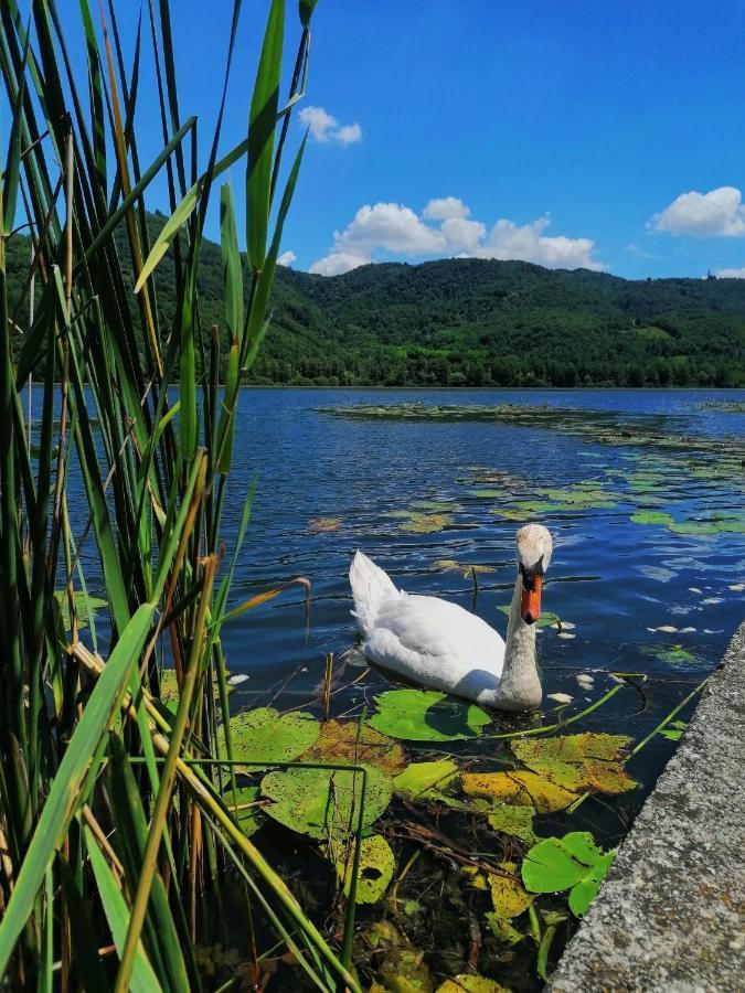 Ca' Dei Berici - Residence Ad Arcugnano Grancare Экстерьер фото